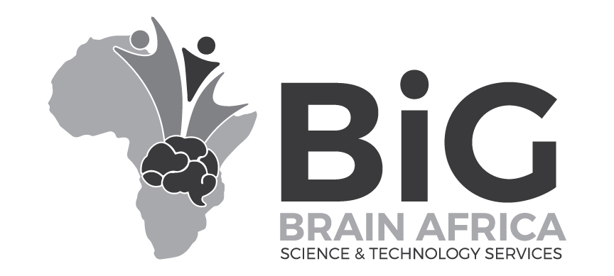 BIG BRAIN AFRICA SCIENCE & TECHNOLOGY SERVICES 